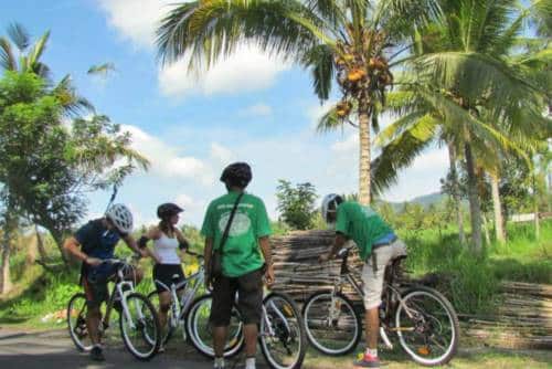 Bali Cycling Tours 3004173