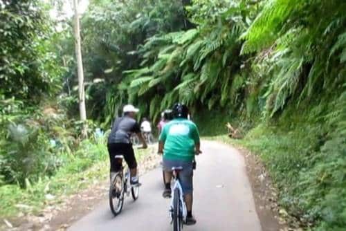 Bali Eco Cycling Adventure Tours 1204172