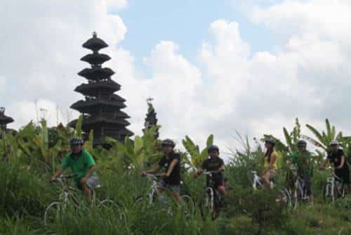 Bali Eco Cycling Adventure Tours 1204177