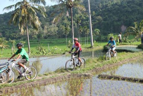 Bali Eco Cycling Adventure Tours 1204178